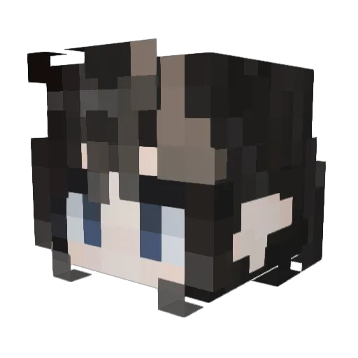 Eigh8si6 Minecraft avatar head, 3D render