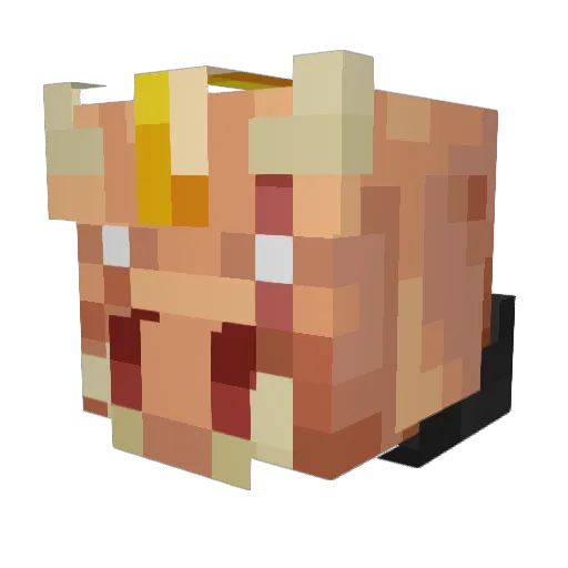 EightB4ll Minecraft avatar head, 3D render