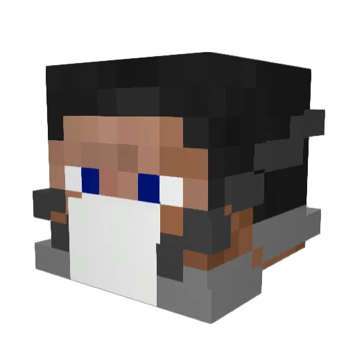 EightOfCats Minecraft avatar head, 3D render