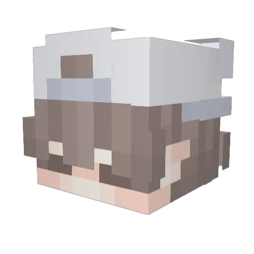 EightSquare1538 Minecraft avatar head, 3D render