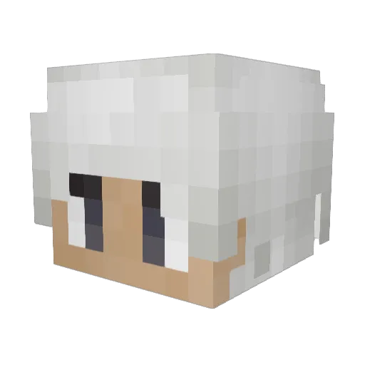 Eight_F Minecraft avatar head, 3D render