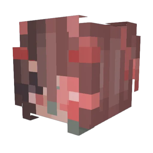 Eight_Octo Minecraft avatar head, 3D render
