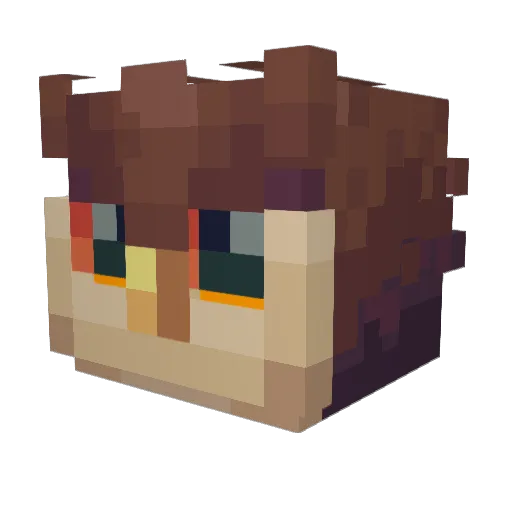 Eightbasil Minecraft avatar head, 3D render