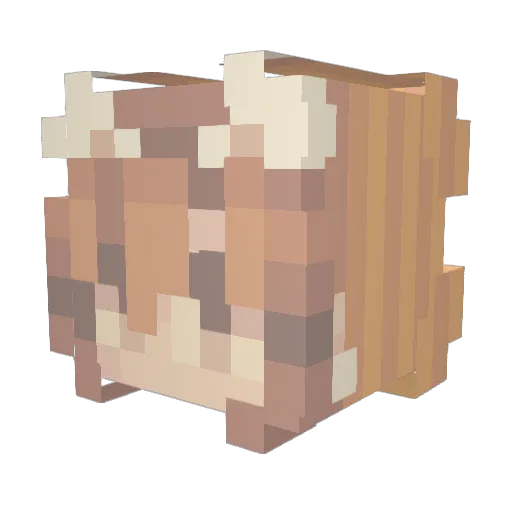 Eika_chan Minecraft avatar head, 3D render