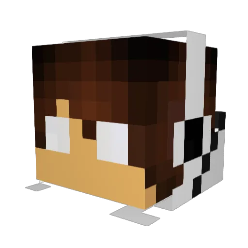 Eiks Minecraft avatar head, 3D render