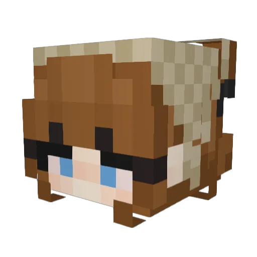 Eilia_ Minecraft avatar head, 3D render