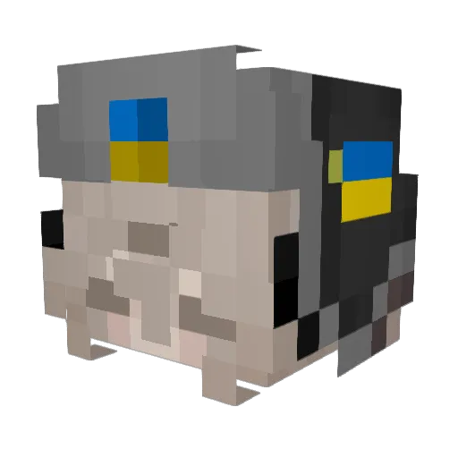 EilishRoksa Minecraft avatar head, 3D render