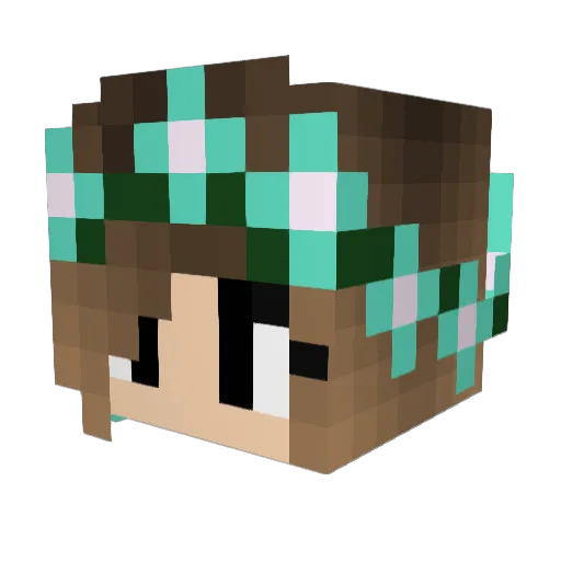 Eim20 Minecraft avatar head, 3D render