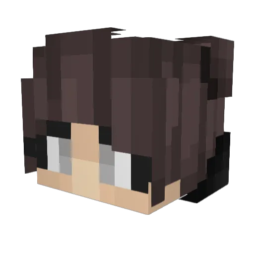 Eimelowo Minecraft avatar head, 3D render