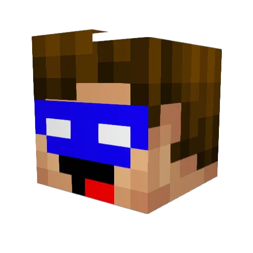 Eimer Minecraft avatar head, 3D render