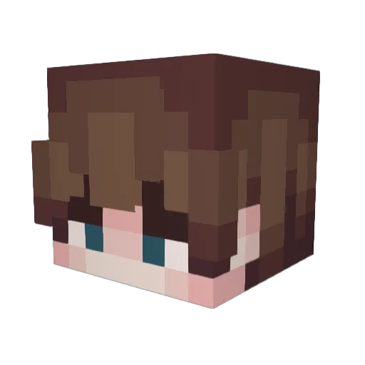 Eimeria Minecraft avatar head, 3D render