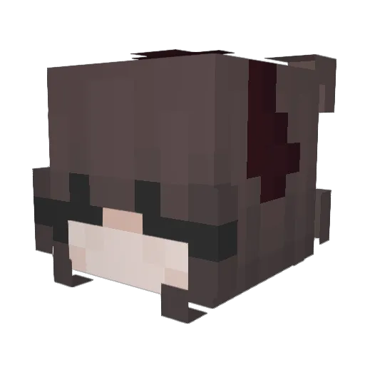 Eimilla Minecraft avatar head, 3D render