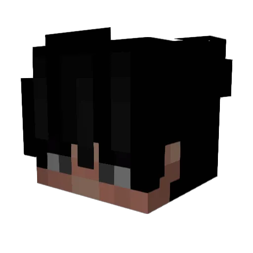 EinAkira Minecraft avatar head, 3D render
