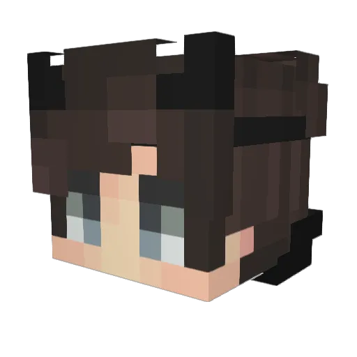 EinBauer Minecraft avatar head, 3D render