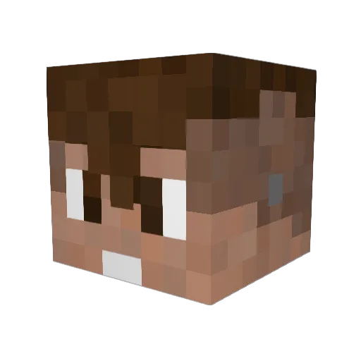 EinBierVorVier Minecraft avatar head, 3D render