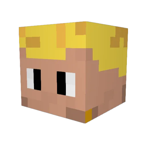 EinBre123 Minecraft avatar head, 3D render