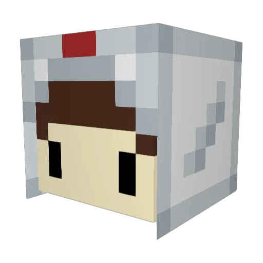 EinChickenWing Minecraft avatar head, 3D render