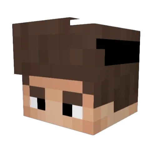 EinFxlix Minecraft avatar head, 3D render