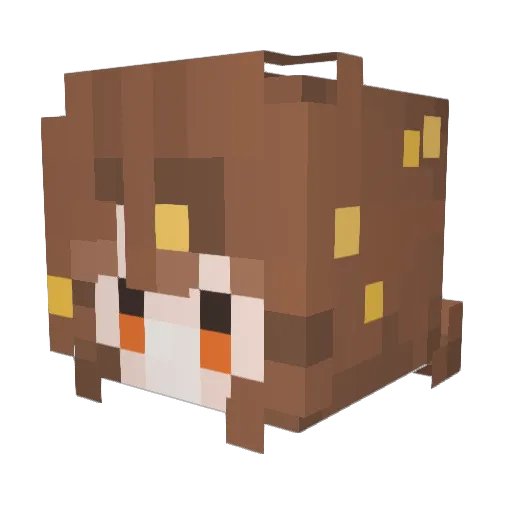 EinSomeone Minecraft avatar head, 3D render