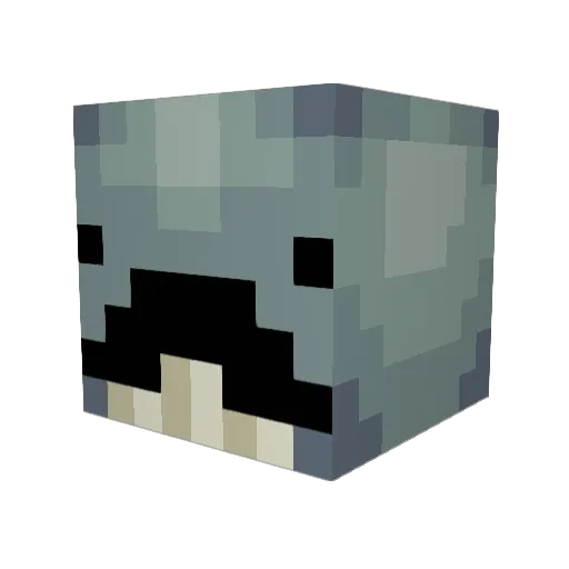 EinWalfisch Minecraft avatar head, 3D render