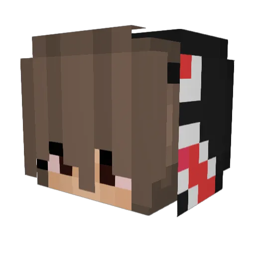 EinWildesBella Minecraft avatar head, 3D render