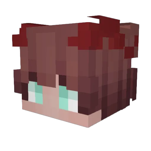 EinWildesDev Minecraft avatar head, 3D render