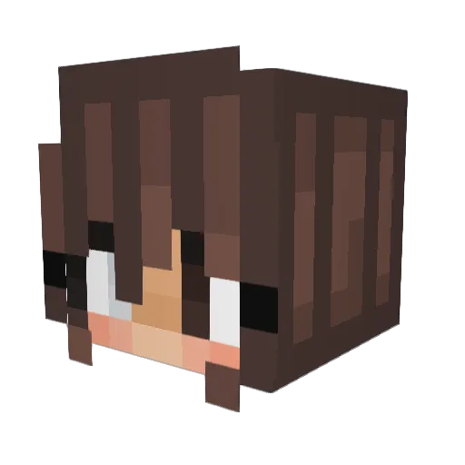 Ein_DarkFang Minecraft avatar head, 3D render