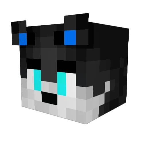 Ein_Frost Minecraft avatar head, 3D render