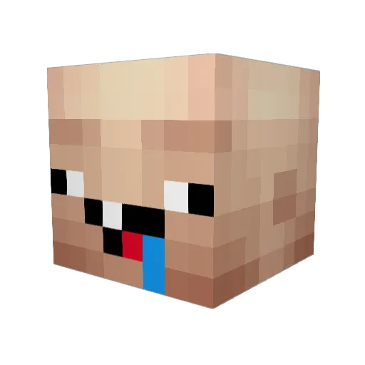 Ein_Lama14 Minecraft avatar head, 3D render