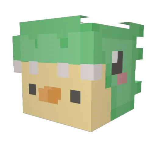 Ein_stein123 Minecraft avatar head, 3D render
