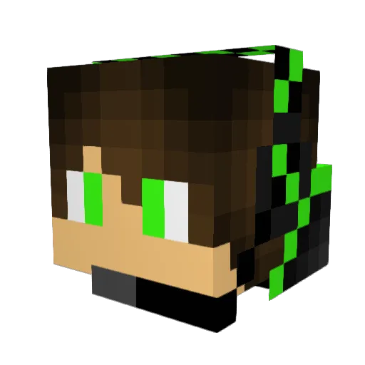 EinarmigesGaming Minecraft avatar head, 3D render
