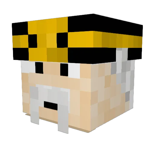 EinarrThoralfson Minecraft avatar head, 3D render