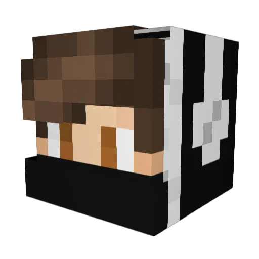 Einbruch Minecraft avatar head, 3D render