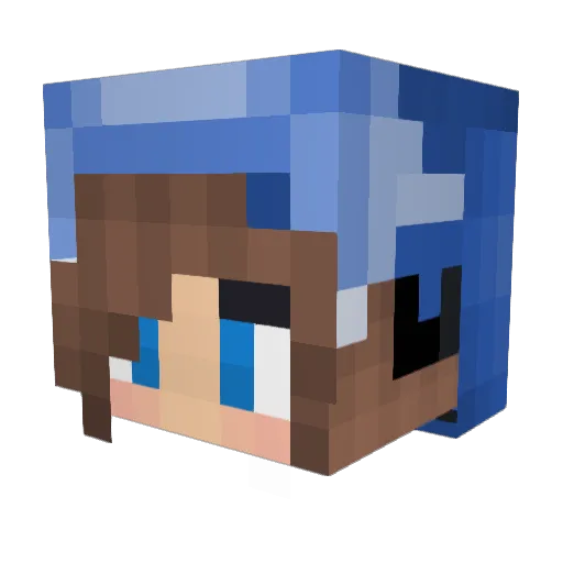 EinfachFantaYT Minecraft avatar head, 3D render