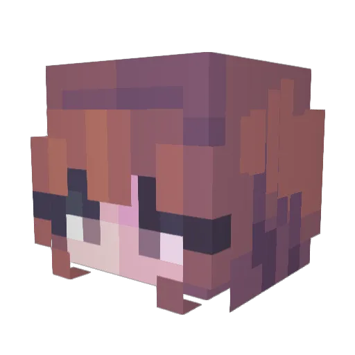 EinfachFlx2206 Minecraft avatar head, 3D render