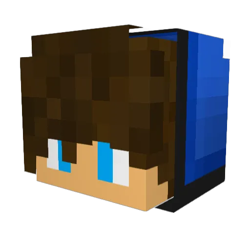 EinfachKeinSkill Minecraft avatar head, 3D render