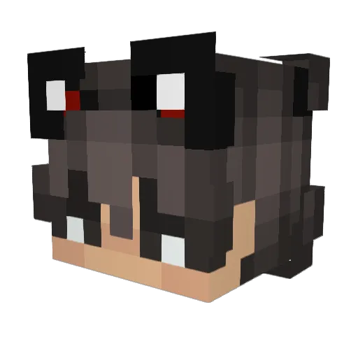 EinfachLW Minecraft avatar head, 3D render