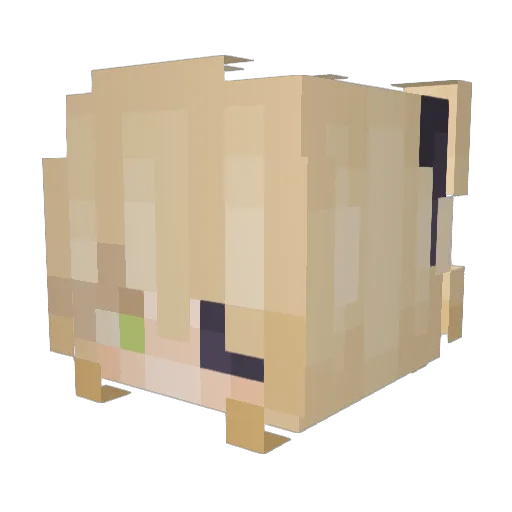 EinfachNicoooo Minecraft avatar head, 3D render