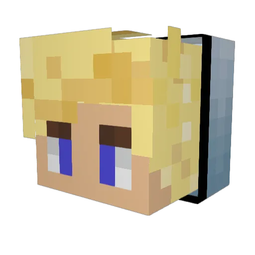 EinfachTim08 Minecraft avatar head, 3D render