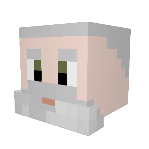 Einfach_Kevin Minecraft avatar head, 3D render