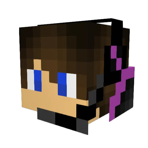 Einfach_Michi_ Minecraft avatar head, 3D render