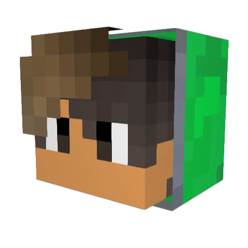 Einfach_Nur_Maxi Minecraft avatar head, 3D render