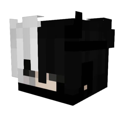Einfach_Ryan Minecraft avatar head, 3D render