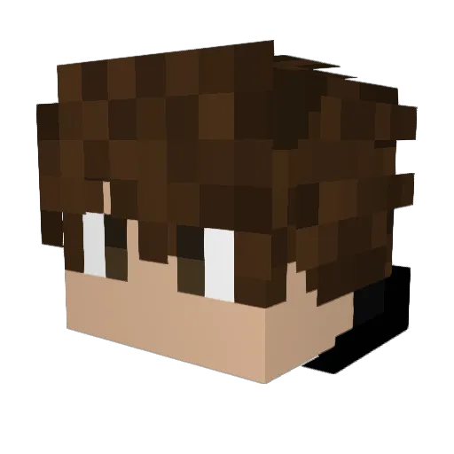 Einfachfloxi Minecraft avatar head, 3D render