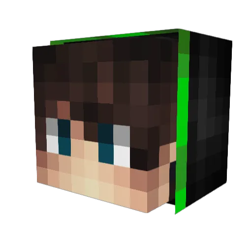 Einfllslos Minecraft avatar head, 3D render