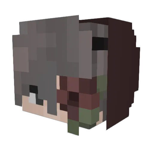 EingeKnockteEnte Minecraft avatar head, 3D render