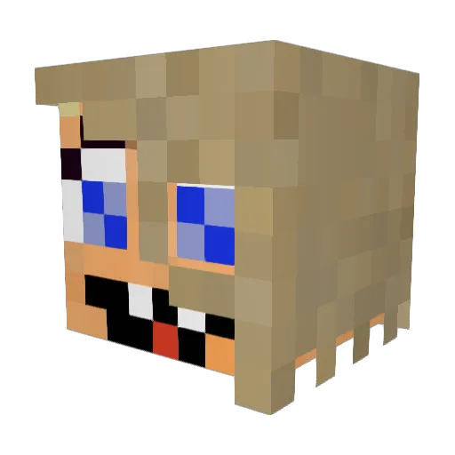 Einherjaarr Minecraft avatar head, 3D render