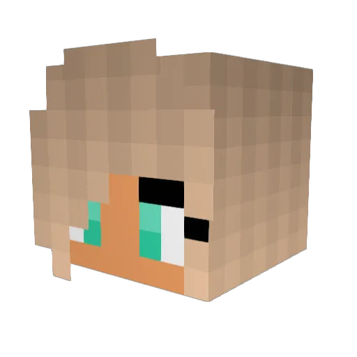 Einhorn2003 Minecraft avatar head, 3D render