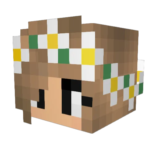 Einhorn_Panda Minecraft avatar head, 3D render