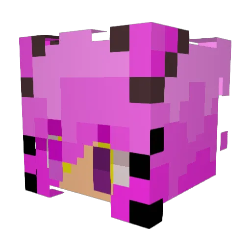 Einkez Minecraft avatar head, 3D render